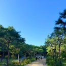 반려동문과 함께하는 행복 관음 | 강원도 양양 가볼만한곳 낙산사｜입장료 주차정보 바다뷰 힐링 여행지 후기
