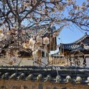 인흥마을 이미지