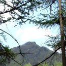 양평 중미산자연휴양림 산책과 부자마을 삼겹살 파티 이미지