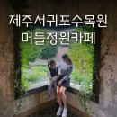 머들정원카페 제주 서귀포 사진찍기 좋은 수목원