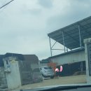 월야축사 이미지