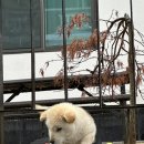 슬슬 도파민 부족현상이 느껴지는데 나만 그런거 아니지~