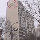 구갈로 이미지