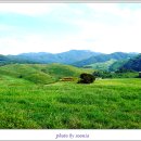 한우목장 이미지