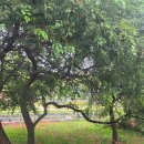 신세계행정사사무소 이미지