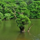 닭세상농장 이미지