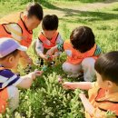 중앙물빛어린이공원 | 깨비의숲마을 자연체험: 김포 걸포중앙공원 어린이 숲놀이 완벽 후기