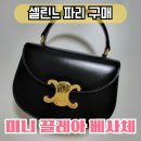 셀린느 미니 클레아 베사체 파리 구매 후기 (파리 쁘렝땅 쿠폰)