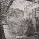 갤러리섬 이미지