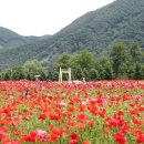 COZY GARDEN(코지가든) 이미지