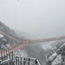 힐링랜드 이미지