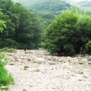 둥지까페 이미지