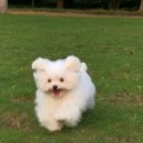 오븐 앞 달콤한 순간들(주간, 7월) | 경북 고령 운수 좋은 날, 경상도 감성 촌캉스 1박 (+예약 링크)