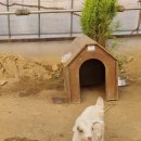 나눔염소농장 이미지