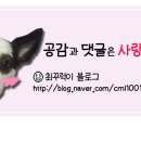 금화노래연습장 이미지