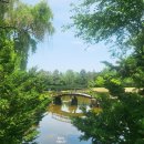 무심교옆 이미지