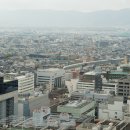 D00378 네이버블로그