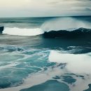 꼬리치는강아지 이미지