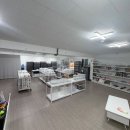 제이엔디 | 하남 파충류샵으로 유명한 파충류샵 제이엔디 게코 방문후기