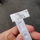신영진료소 | 강릉 코로나 검사(3/10 수정), 보건소 선별진료소 PCR, 신속항원검사 이용방법 / 전자문진표 링크 첨부...