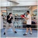 퍼블릭 복싱 이미지