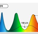 리얼닷 이미지
