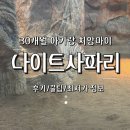 기린04 | 치앙마이 나이트사파리 완벽 후기 | 가격·코스·아이동반 꿀팁·예매 링크 (30개월 아기랑 치앙마이...