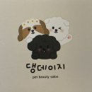 댕데이지 이미지