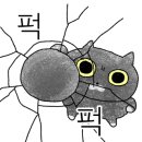 브리비트 이미지
