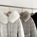 제이코코 이미지