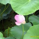 삼호교회 이미지