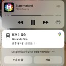 [도쿄] Day7｜다이칸야마·네즈미술관·롯폰기힐스까지, 도쿄 하루 산책