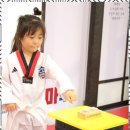 프리미엄 태권마루 태권도장 이미지