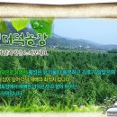 횡성더덕농장 이미지