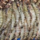 장미수산 이미지