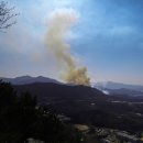 바람골농장 | [후기][산들로 알파인] 청계산 바람골. 인릉산. 대모산... (2011.04.16 토)