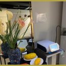 더마름 다이어트 목동점 이미지