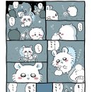 모몽가 이미지