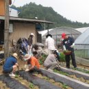 진악산농장 이미지