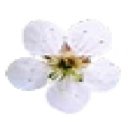 매화중학교 이미지