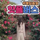 (주)맞춤투어 네이버블로그