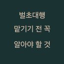 고령농업협동조합 | 벌초대행, 직접 해본 후기! 맡기기 전 꼭 알아야 할 3가지