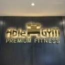 에이블짐 신정네거리역점 | 에이블짐 신정네거리역점 PT에서 경험한 '뉴마핏 러닝진단' 후기(+새해 첫 운동시작)