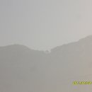 서봉1구 Daum카페
