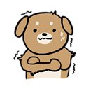 퀸 애견 이미지