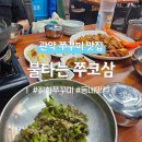 쭈코쭈코 이미지