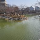 애련정 | [이천 나들이] 안흥지와 애련정 _ 설봉공원 근처 조금 이른 벚꽃명소 도심 속 힐링 공간 쉼터