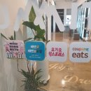[성남/분당 정자]불곡산이 보이는 루프탑 카페 써밋, 애견동반카페