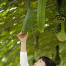 동우당한의원 이미지