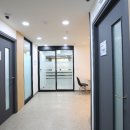 다솜애견 이미지